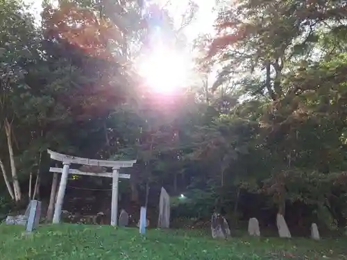 倉澤神社の鳥居