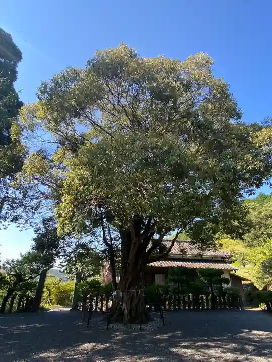 葛城神社妙見宮の自然