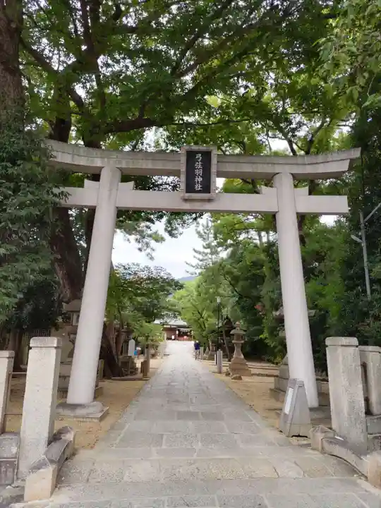 弓弦羽神社(兵庫県)