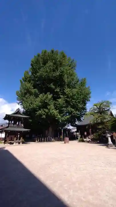 飛騨国分寺(岐阜県)