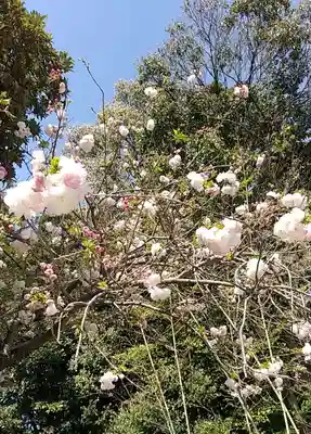 比佐豆知神社(三重県)