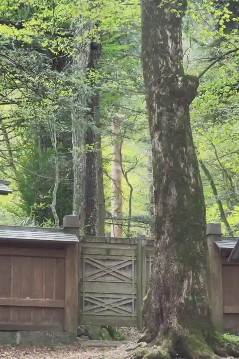 諏訪大社の自然