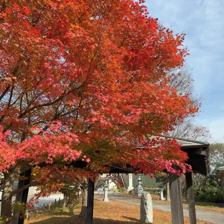 百々神社(滋賀県)