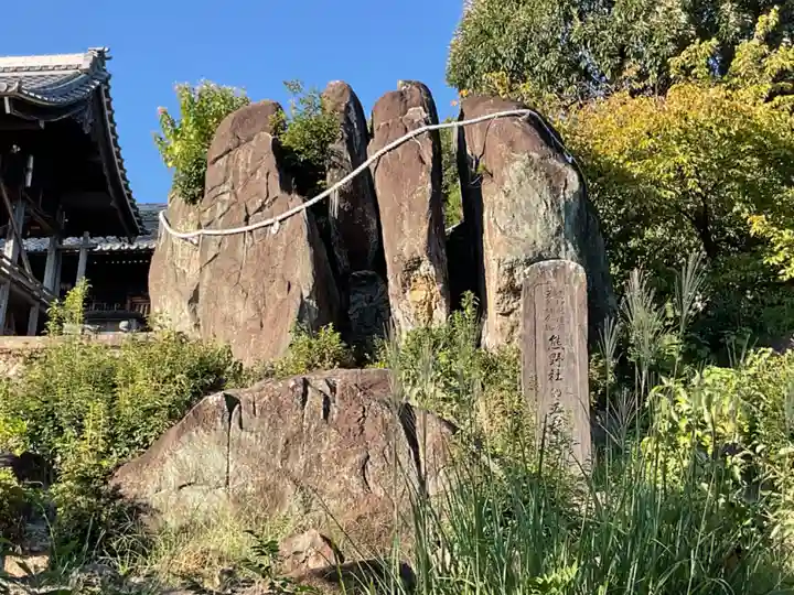熊野社(岩崎熊野神社)の自然