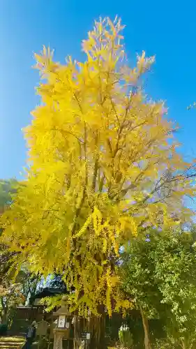 三栖神社(京都府)
