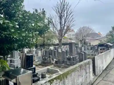 専念寺の{uncategorized: "未分類", other: "その他", undefined: "問題あり", building: "その他建物", grave: "お墓", sacred_gate: "鳥居", guardian: "狛犬", statue: "像", buddha: "仏像", history: "歴史", nature: "自然", garden: "庭園", animal: "動物", pagoda: "塔", temizu: "手水舎", mountain_gate: "山門・神門", sanctuary: "本殿・本堂", subordinate: "末社・摂社", art: "芸術", scenery: "景色", jizo: "地蔵", ema: "絵馬", goshuin: "御朱印", omikuji: "おみくじ", items: "授与品その他", amulet: "お守り", goshuincho: "御朱印帳", eats: "食事", festival: "お祭り", votive_dance: "神楽", shichigosan: "七五三参", wedding: "結婚式", experience: "体験その他", initially: "初詣", around: "周辺", anti_infection: "感染症対策"}