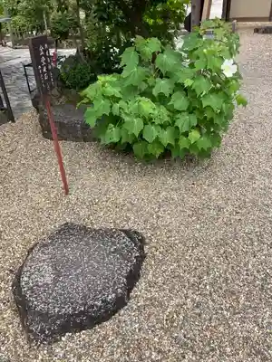 飛鳥寺(奈良県)