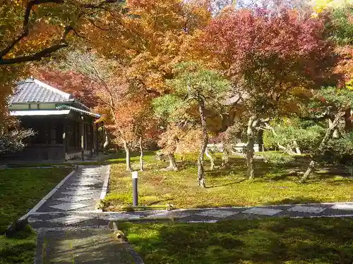 長壽寺（長寿寺）の庭園