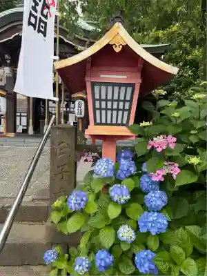 川越八幡宮(埼玉県)