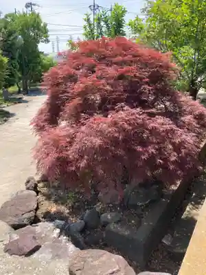 大光寺(神奈川県)