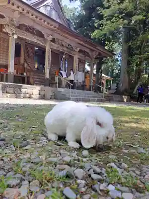 西照神社(徳島県)