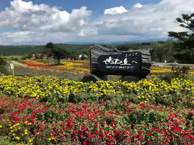 美瑛神社の周辺