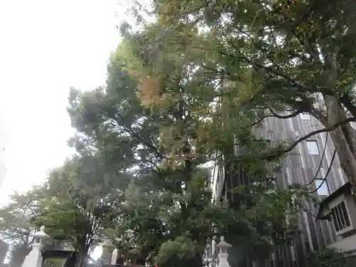 赤城神社(東京都)