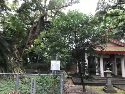 熊野神社のその他建物