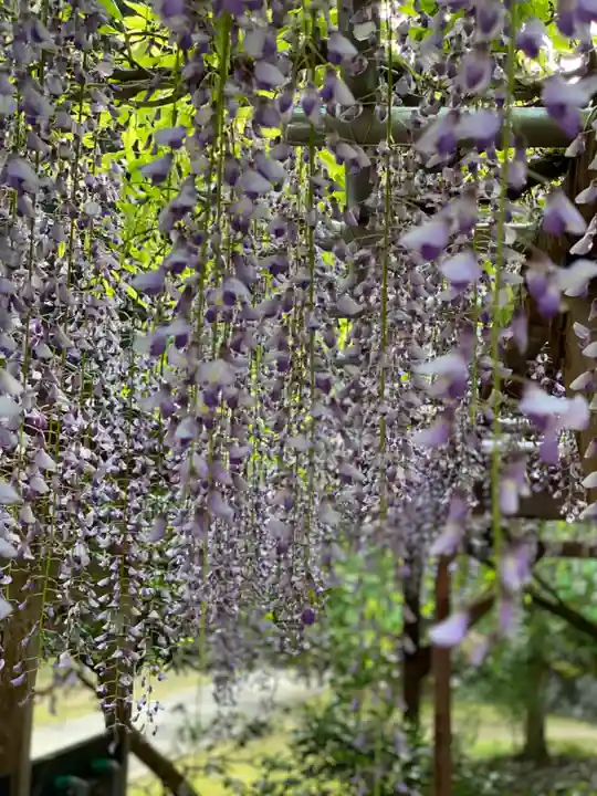 粟鹿神社(兵庫県)