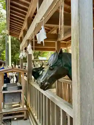 出雲大社(島根県)