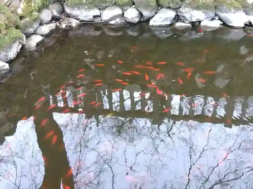 柳廼社(福井県)