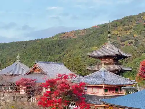 南法華寺（壷阪寺）のその他建物