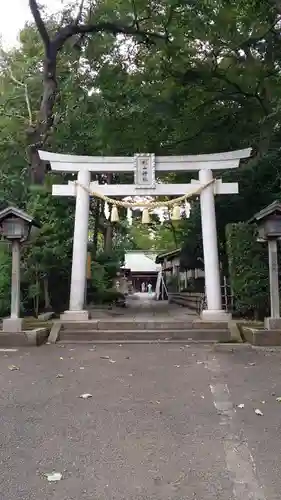 星川杉山神社の鳥居