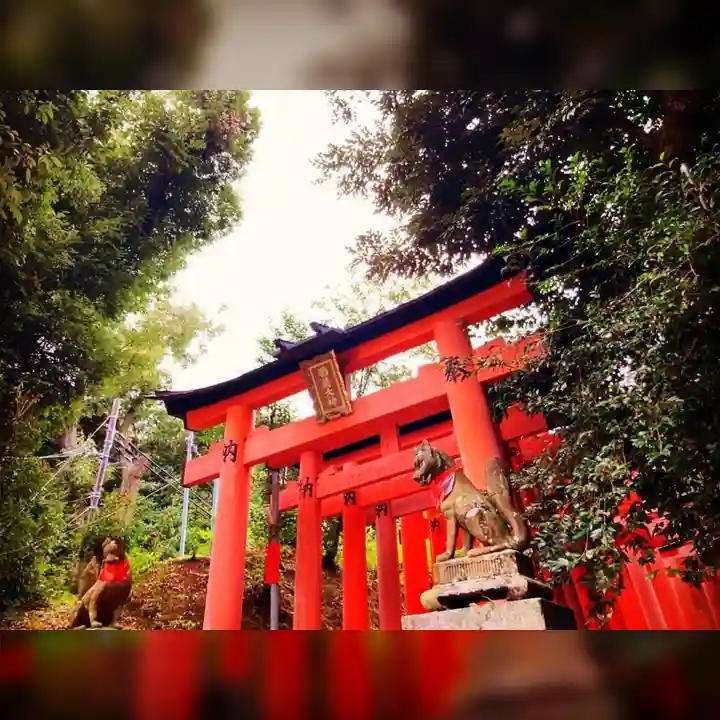 伏見稲荷大社の鳥居