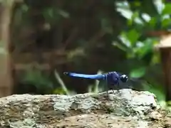 志太張神社の動物