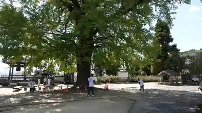 地蔵寺(徳島県)
