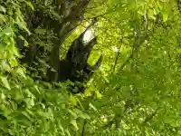 飛木稲荷神社(東京都)