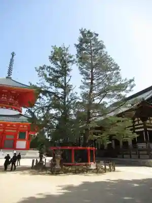 高野山金剛峯寺のその他建物