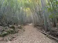 天一神社(徳島県)