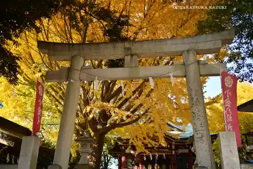 小金八坂神社(千葉県)