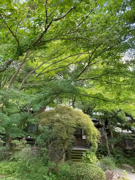 覚園寺の自然