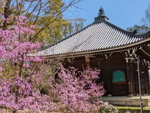 仁和寺(京都府)