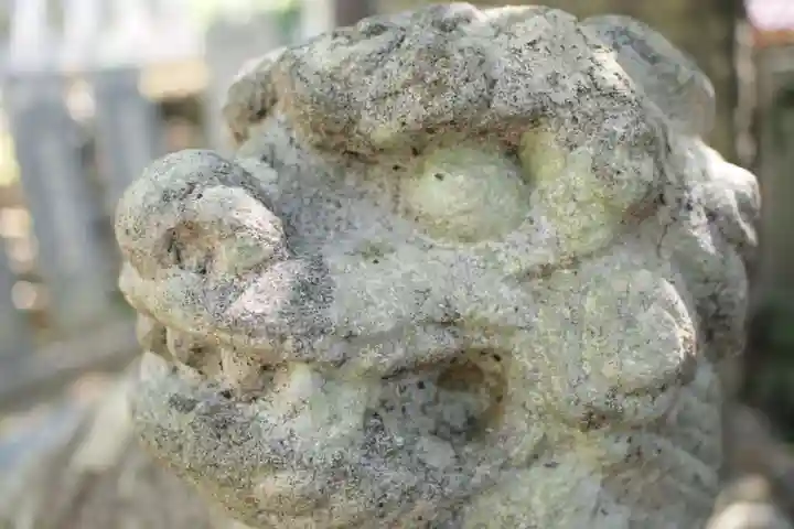 筑波山神社の狛犬