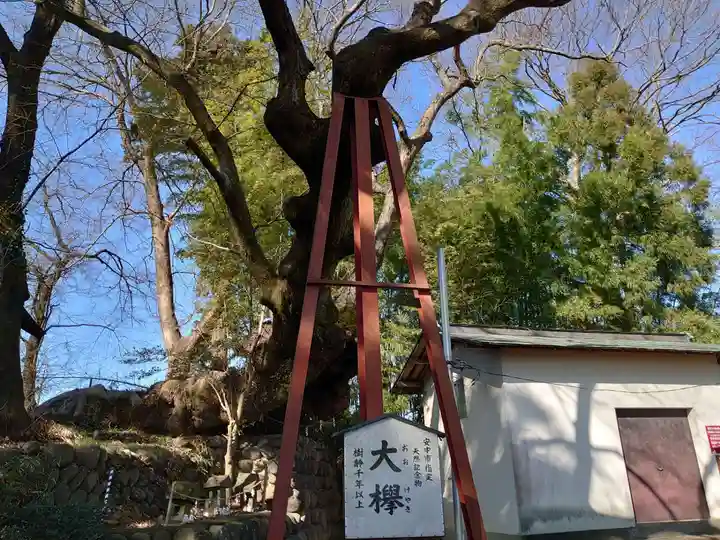 熊野神社の自然