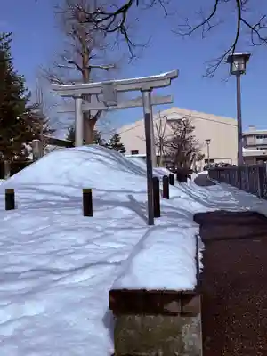 福井神社(福井県)