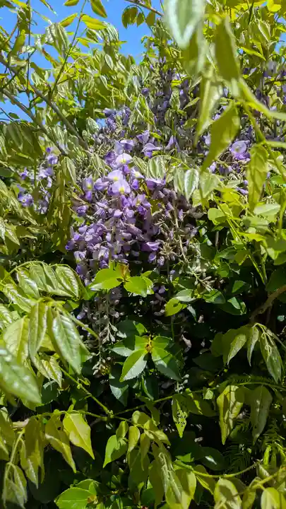 立圓寺(滋賀県)