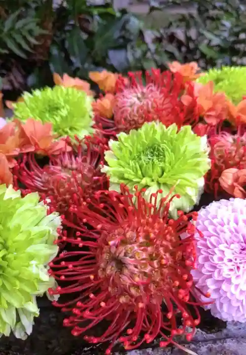 本郷氷川神社(東京都)