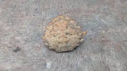 厳島神社の動物