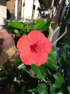 城山神社(長崎県)
