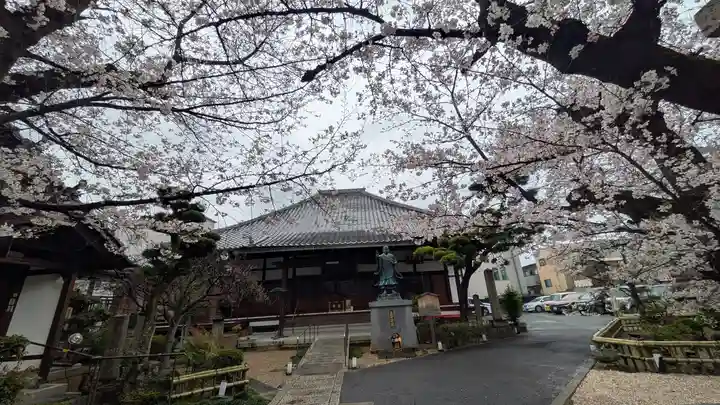 墨染寺(桜寺)(京都府)