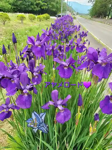 高司神社〜むすびの神の鎮まる社〜(福島県)