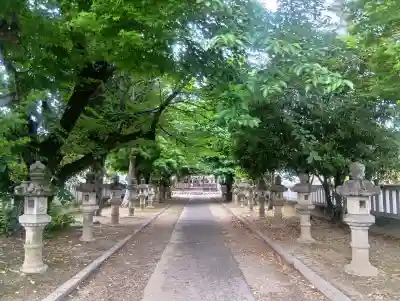春日神社の{uncategorized: "未分類", other: "その他", undefined: "問題あり", building: "その他建物", grave: "お墓", sacred_gate: "鳥居", guardian: "狛犬", statue: "像", buddha: "仏像", history: "歴史", nature: "自然", garden: "庭園", animal: "動物", pagoda: "塔", temizu: "手水舎", mountain_gate: "山門・神門", sanctuary: "本殿・本堂", subordinate: "末社・摂社", art: "芸術", scenery: "景色", jizo: "地蔵", ema: "絵馬", goshuin: "御朱印", omikuji: "おみくじ", items: "授与品その他", amulet: "お守り", goshuincho: "御朱印帳", eats: "食事", festival: "お祭り", votive_dance: "神楽", shichigosan: "七五三参", wedding: "結婚式", experience: "体験その他", initially: "初詣", around: "周辺", anti_infection: "感染症対策"}