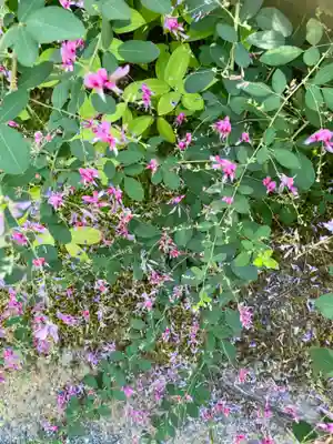 城南宮(京都府)