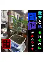 耕田院(山形県)