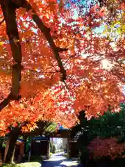 福蔵院(東京都)