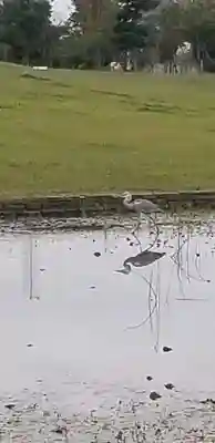 花之木稲荷神社の周辺