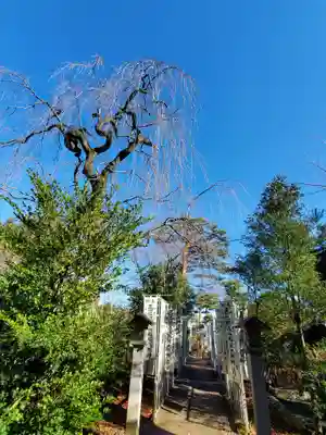 開成山大神宮(福島県)