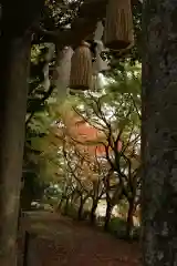 波爾布神社(滋賀県)