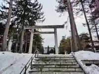 上川神社の鳥居