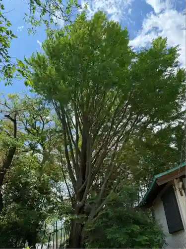 子之神社(神奈川県)